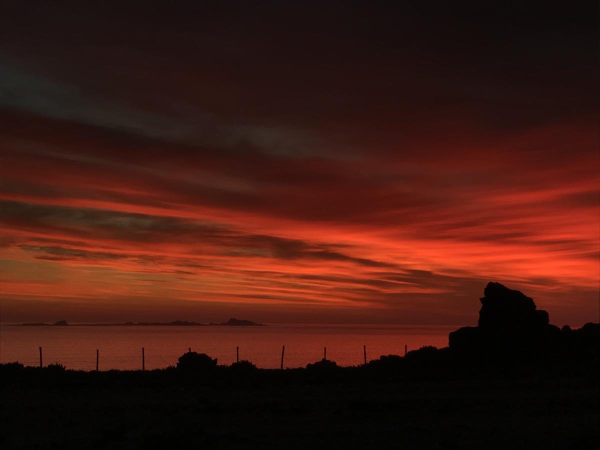 Las Hualas Punta de Choros Exterior foto