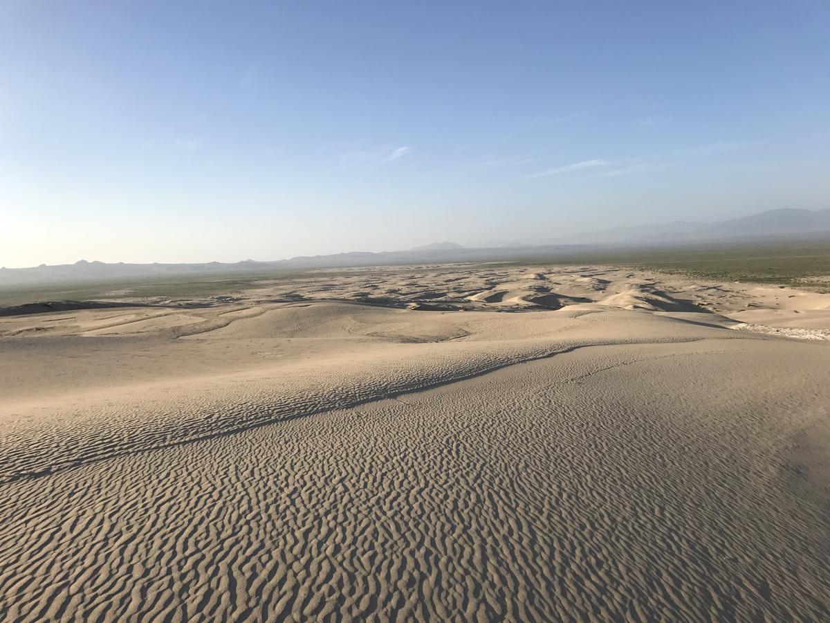 Las Hualas Punta de Choros Exterior foto