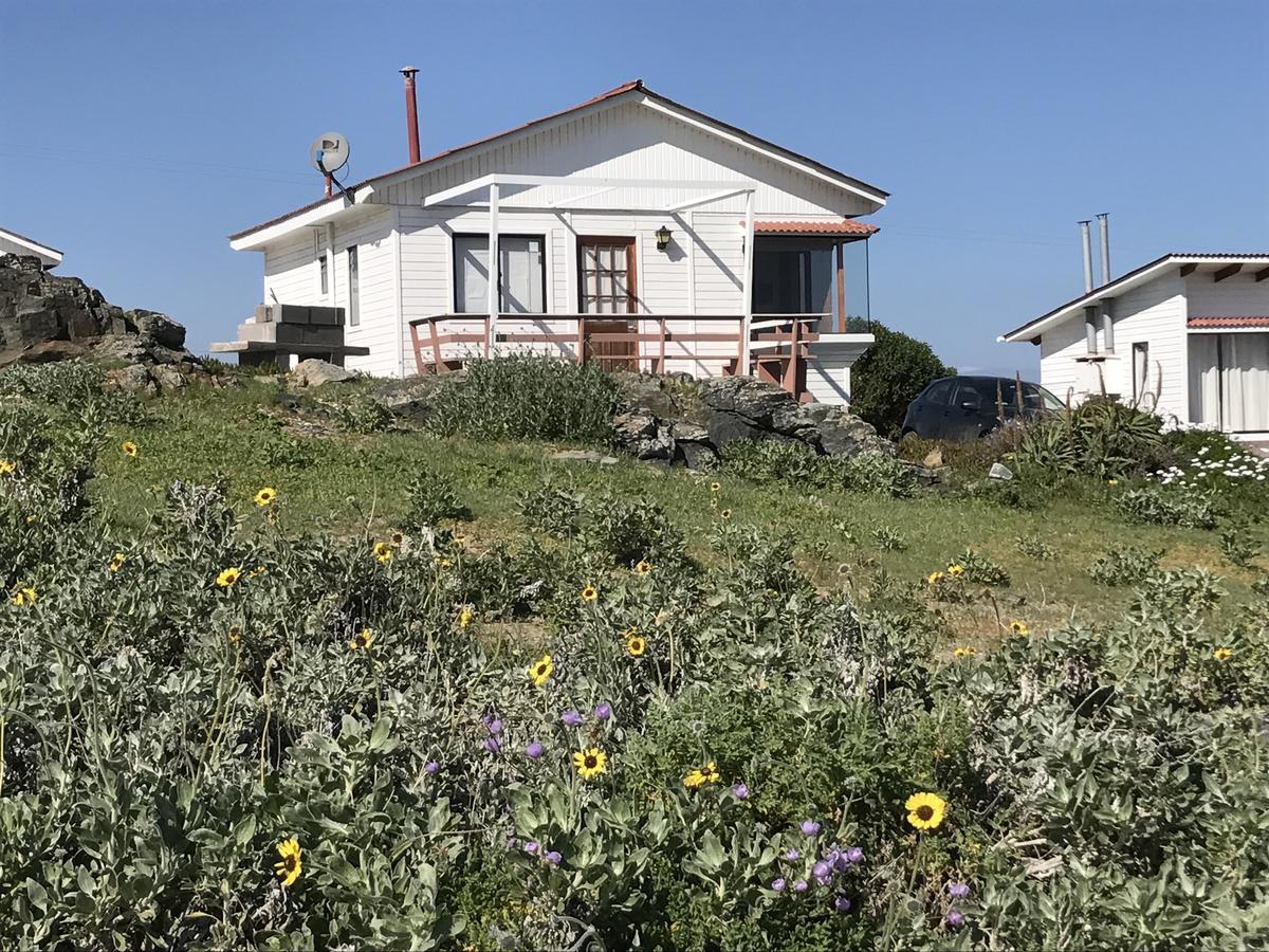 Las Hualas Punta de Choros Exterior foto